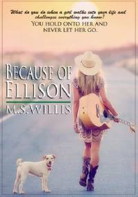 Because of Ellison - Melissa Willis