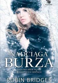Nadciąga burza - Robin Bridges