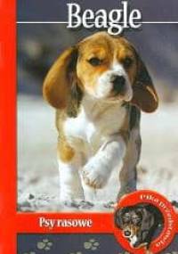 Beagle - Magdalena Anna Pol