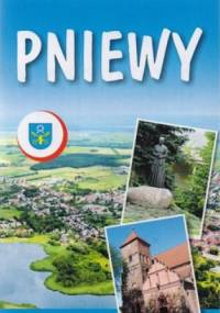 Pniewy. Plan miasta i gminy. 1:10000 BIK