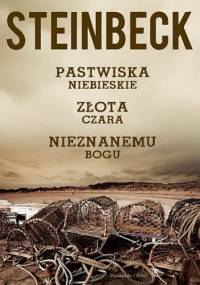 Pastwiska niebieskie. Złota czara. Nieznanemu bogu - John Steinbeck