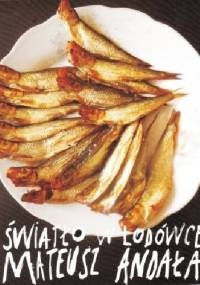 Światło w lodówce - Mateusz Andała