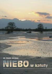 Niebo w kałuży - Paweł Broński