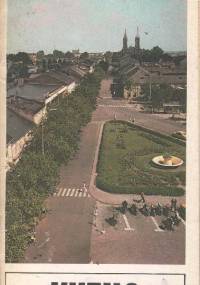 Kutno i okolice - Jan B. Nycek