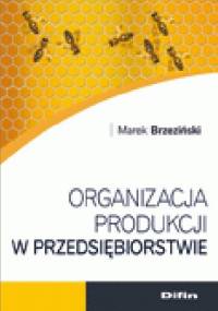 Organizacja produkcji w przedsiębiorstwie - Marek Brzeziński