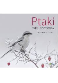 Ptaki Tatr i Podtatrza - Włodzimierz Cichocki