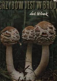 Grzybów jest w bród - Lech Wilczek