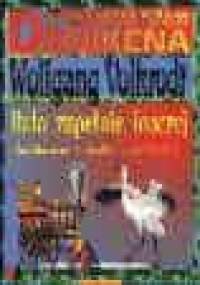 Było zupełnie inaczej : inteligentna technika w prehistorii - Wolfgang Volkrodt