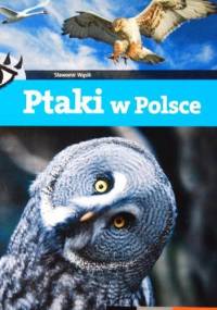 Ptaki w Polsce - Sławomir Wąsik