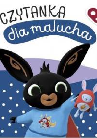 Bing. Pora Spać. Czytanka dla malucha - Ted Dewan