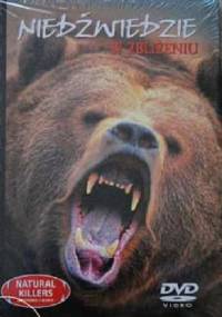 Niedźwiedzie w zbliżeniu. - redakcja DVD