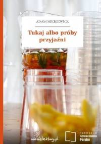 Tukaj albo próby przyjaźni - Adam Mickiewicz