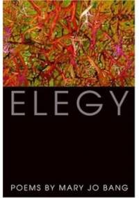 Elegy - Mary Jo Bang