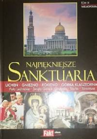 Najpiękniejsze Sanktuaria. Wielkopolska. Tom IX.