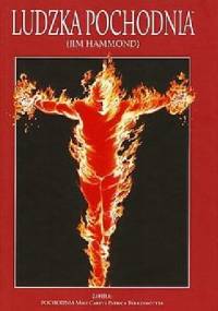 Ludzka Pochodnia (Jim Hammond): Pochodnia