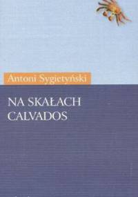 Na skałach Calvados - Antoni Sygietyński