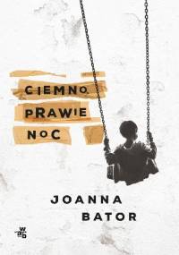 Ciemno, prawie noc - Joanna Bator