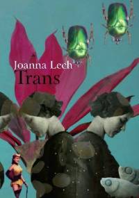 Trans - Joanna Lech