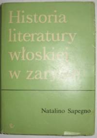 Historia literatury włoskiej w zarysie - Natalino Sapegno