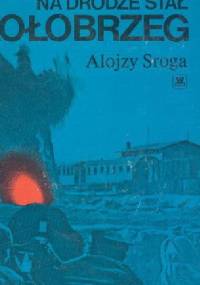 Na drodze stał Kołobrzeg - Alojzy Sroga