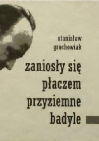 Zaniosły się płaczem przyziemne badyle - Stanisław Grochowiak
