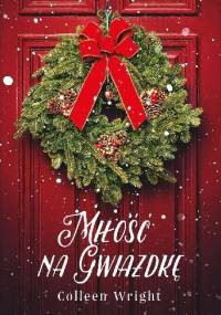 Miłość na Gwiazdkę - Colleen Wright