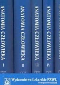 Anatomia człowieka t.1-5 - Adam Bochenek, Michał Reicher