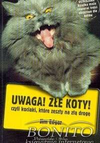 Uwaga! Złe koty! czyli kociaki, które zeszły na złą drogę - Jim Edgar