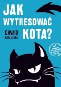 Jak wytresować kota? - Dawid Ratajczak