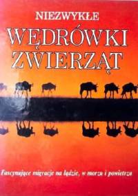 Niezwykłe wędrówki zwierząt. Fascynujące migracje na lądzie,w morzu i powietrzu.
