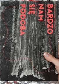 Bardzo nam sie podoba. Współczesna. Sztuka. Pytania.