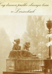 Czy drzewa prędko obiecują liście w Łazienkach - Adam Kaczkowski