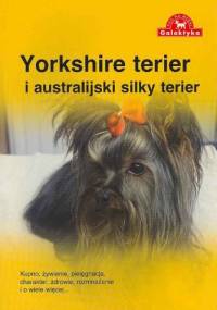 Yorkshire Terier i australijski silky terier - Zespół Over Dieren