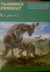 Na prerii - Daniel Alibert-Kouraguine