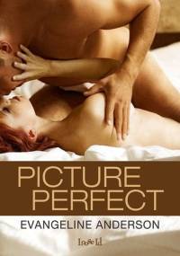 Picture Perfect - Evangeline Anderson