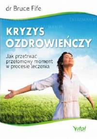 Kryzys ozdrowieńczy. Jak przetrwać przełomowy moment w procesie leczenia - Bruce Fife
