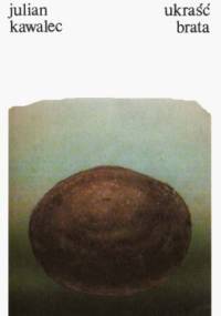 Ukraść brata - Julian Kawalec