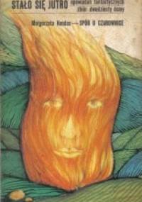 Spór o czarownice - Małgorzata Kondas