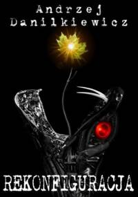 Rekonfiguracja - Andrzej Danilkiewicz