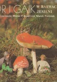 Bór i Gaik w barwach jesieni