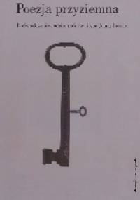 Poezja przyziemna. Doświadczenie codzienności w liryce Joana Brossy - Marcin Kurek