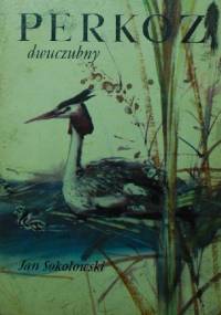 Perkoz dwuczubny - Jan Sokołowski