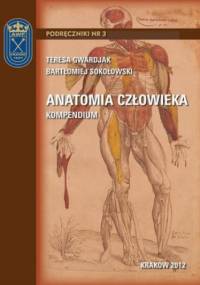 Anatomia człowieka - kompendium - Gwardjak Teresa, Sokołowski Bartłomiej