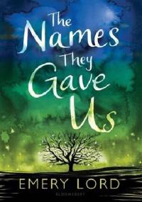 The Names They Gave Us - Emery Lord