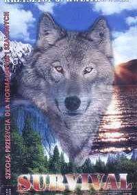 Survival po polsku - Krzysztof J. Kwiatkowski