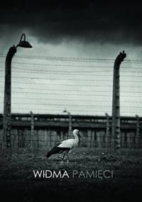 Widma pamięci - Jacek Kurek, Krzysztof Maliszewski