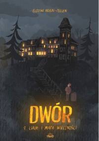 Liam i mapa wieczności - Évelyne Brisou-Pellen