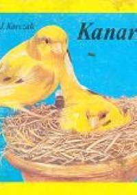 Kanarki - Jadwiga Korczak