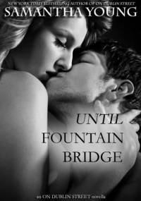 Until Fountain Bridge - Samantha Young