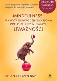Mindfulness: Jak wytrenować dzikiego słonia i inne przygody w praktyce uważności - Jan Chozen Bays